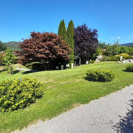 Chalet De Grettery Saulxures-sur-Moselotte Екстер'єр фото