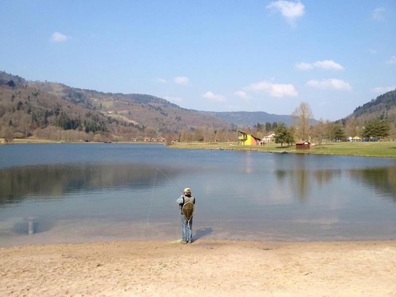 Chalet De Grettery Saulxures-sur-Moselotte Екстер'єр фото
